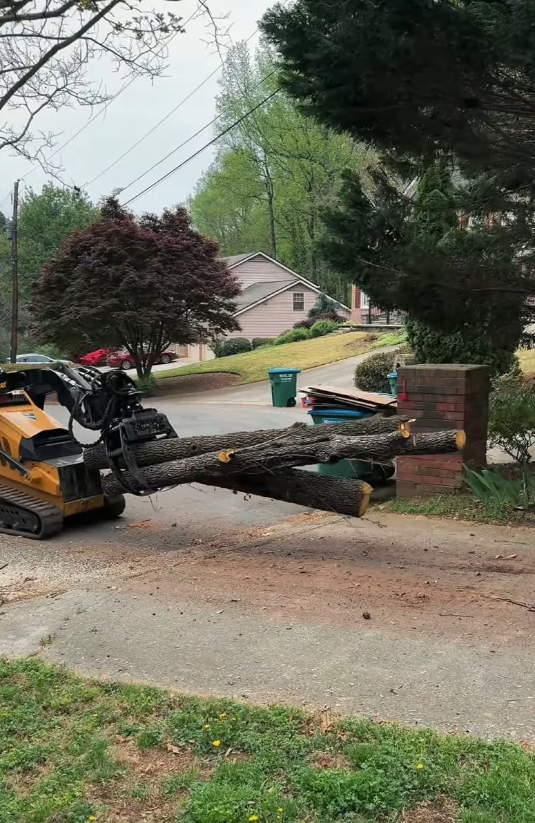 Professional tree removal equipment in El Centro, CA